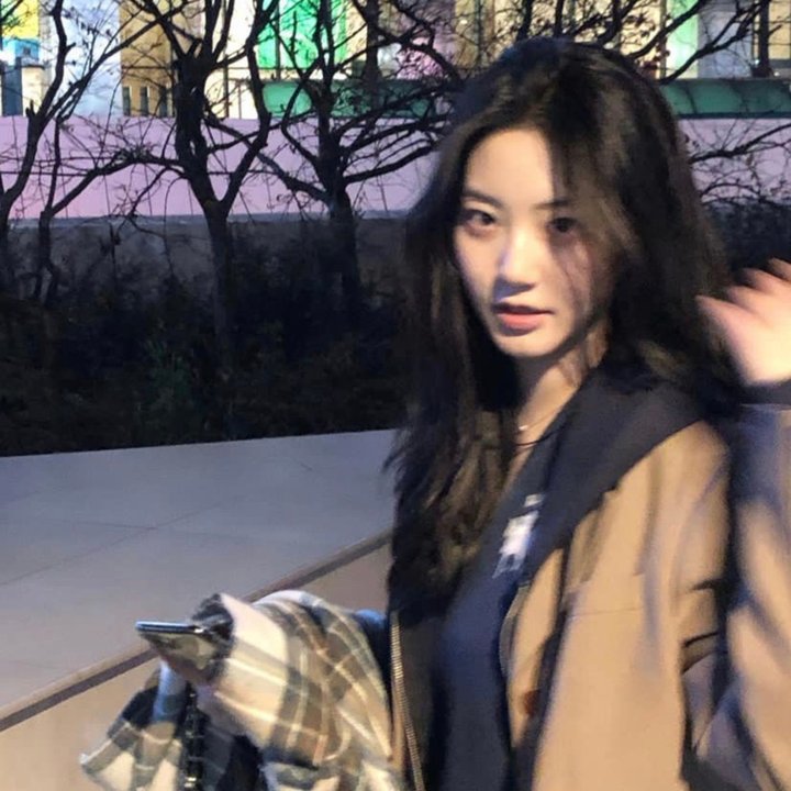 法律与秩序：组织犯罪第四季